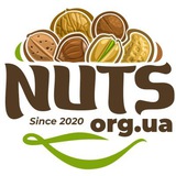 Логотип телеграм спільноти - NUTS (Урлівська 23А)