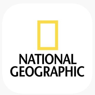 Logo de la comunidad de Telegram — National Geographic