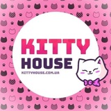 Logo de la comunidad de Telegram — KITTY HOUSE LIVE 😻👀