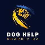 Telegram community logo - Dog help Kharkiv UA