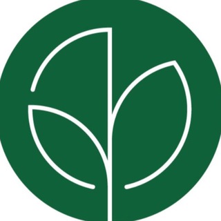 Логотип телеграм спільноти - Експерти з деревини🌿Українські виробники🇺🇦
