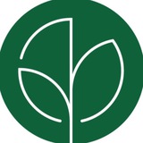 Logo de la comunidad de Telegram — Експерти з деревини🌿Українські виробники🇺🇦