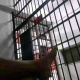 Логотип телеграм спільноти - carrnah