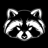 Logo de la comunidad de Telegram — 🦝Combat Raccoon🦝