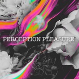 Logo de la comunidad de Telegram — Perception pleasure