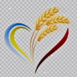 Logo de la comunidad de Telegram — VIMAR GROUP