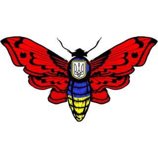 Logo de la comunidad de Telegram — База зрадників Херсону