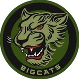 Логотип телеграм спільноти - BIGCATS.info