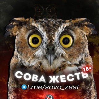 Одине з зображень історіі логотипів цієї спільноти