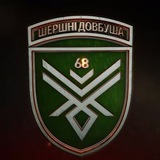 Логотип телеграм спільноти - Шершні Довбуша 🐝💣
