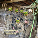 Логотип телеграм спільноти - Dragons Group