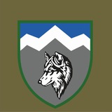 Логотип телеграм спільноти - 8 ОГШБ 10 ОГШБр "Едельвейс"