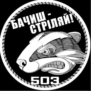 Telegram community logo — 503_Борсуки