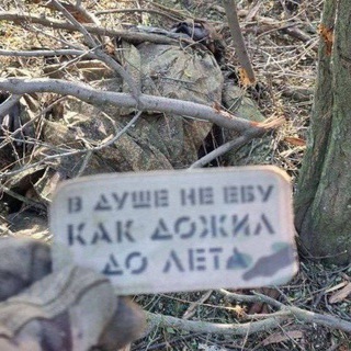 Одине з зображень історіі логотипів цієї спільноти