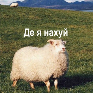 Logo de la comunidad de Telegram — де я нахуй
