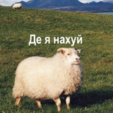 Логотип телеграм спільноти - де я нахуй