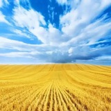 Логотип телеграм спільноти - Новини західної