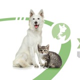 Логотип телеграм спільноти - ЗООВОЛОНТЕРИ ЧЕРНІГОВА🐱ДОПОМОГА ТВАРИНАМ🇺🇦 УКРАЇНА, ЧЕРНІГІВ