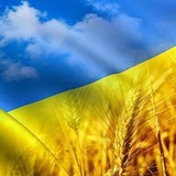 Логотип телеграм спільноти - Обмін петиціями🇺🇦
