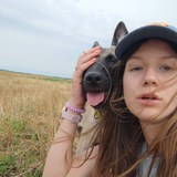 Логотип телеграм спільноти - RARI Dog Training