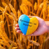 Логотип телеграм спільноти - Допомога переселенцям з Луганщини у Чернівцях