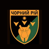 Логотип телеграм спільноти - 2 ББпС «Чорний рій»