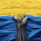 Логотип телеграм спільноти - petition.heroes.ua