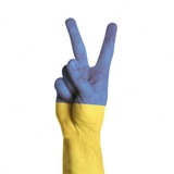 Логотип телеграм спільноти - Наша ПЕРЕМОГА!