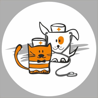 Логотип телеграм спільноти - Ветеринарний канал «Пес і Кіт» - територія турботи про здоров‘я улюбленців