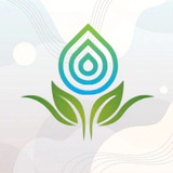 Telegram community logo — 🍃Зрозуміло про Здоров'я🍃