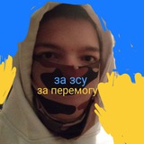 Логотип телеграм спільноти - підтримки Даші кошкіни🇺🇦