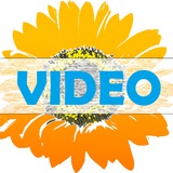 Logo de la comunidad de Telegram — ВІСНИК: ВІДЕО &amp; ПОДАТКИ