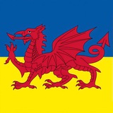 Telegram community logo — Українці в Уельсі 🇺🇦| Ukrainians in Wales 🏴󠁧󠁢󠁷󠁬󠁳󠁿