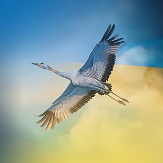 Одине з зображень історіі логотипів цієї спільноти