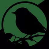 Telegram community logo — Екологічна Платформа