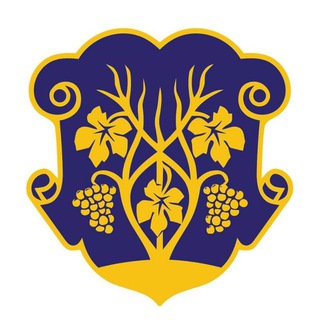 Логотип телеграм спільноти - Ужгородська міська рада. Офіційна сторінка