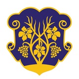 Логотип телеграм спільноти - Ужгородська міська рада. Офіційна сторінка