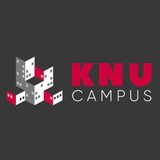 Логотип телеграм спільноти - Дирекція Студмістечка КНУ