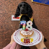 Логотип телеграм спільноти - Факультет германської філології і перекладу КНЛУ