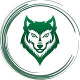 Логотип телеграм спільноти - 💚FTM SUTE💚