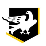 Логотип телеграм спільноти - Сіверськодонецька міська ВА