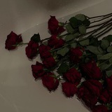 Логотип телеграм спільноти - stasia_books