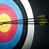 Одине з зображень історіі логотипів цієї спільноти