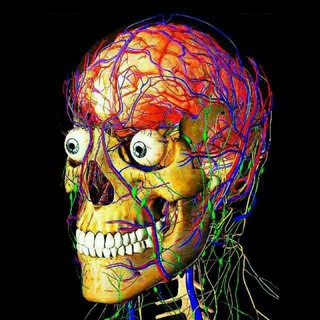 Logo de la comunidad de Telegram — 🤯 Вижити в Меді 👨‍⚕️💉
