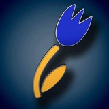 Logo de la comunidad de Telegram — Українці в Нідерландах - Oekraïners in Nederland