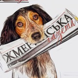 Логотип телеграм спільноти - Жмеринська Газета