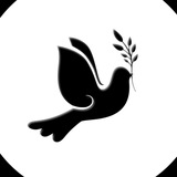 Логотип телеграм спільноти - 🕊️ Щоденник Волонтера