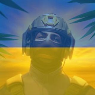 One of the images from the logo history of this community