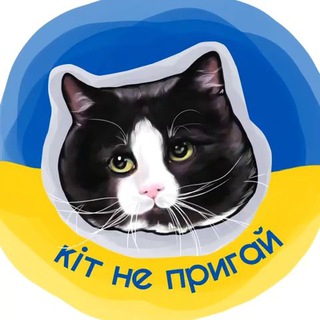 Логотип телеграм спільноти - кіт не пригай
