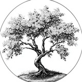 Logo de la comunidad de Telegram — VASYLYSHYN ACADEMY